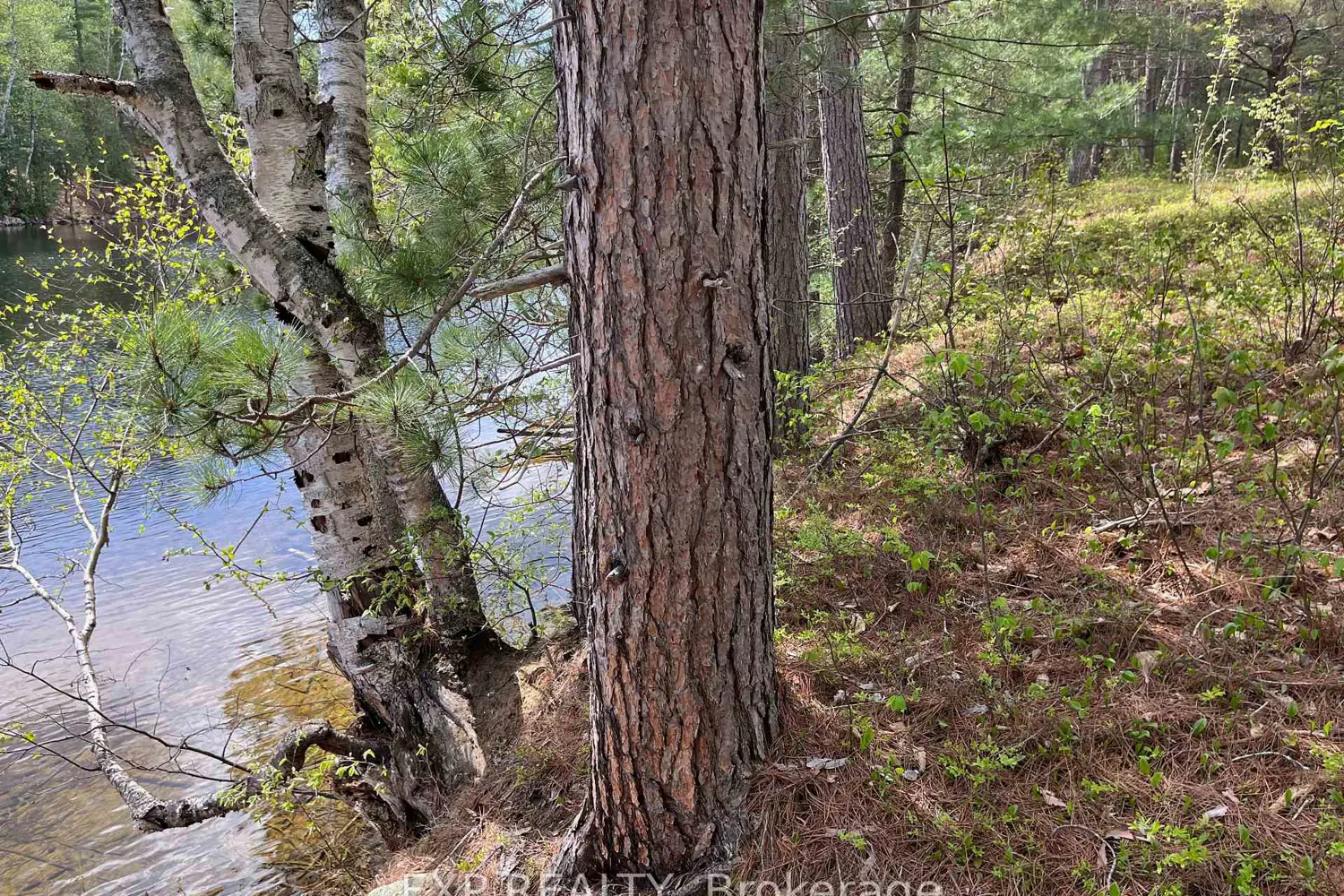 Additional image 4 of Lot 37 Sandy Shores Trail