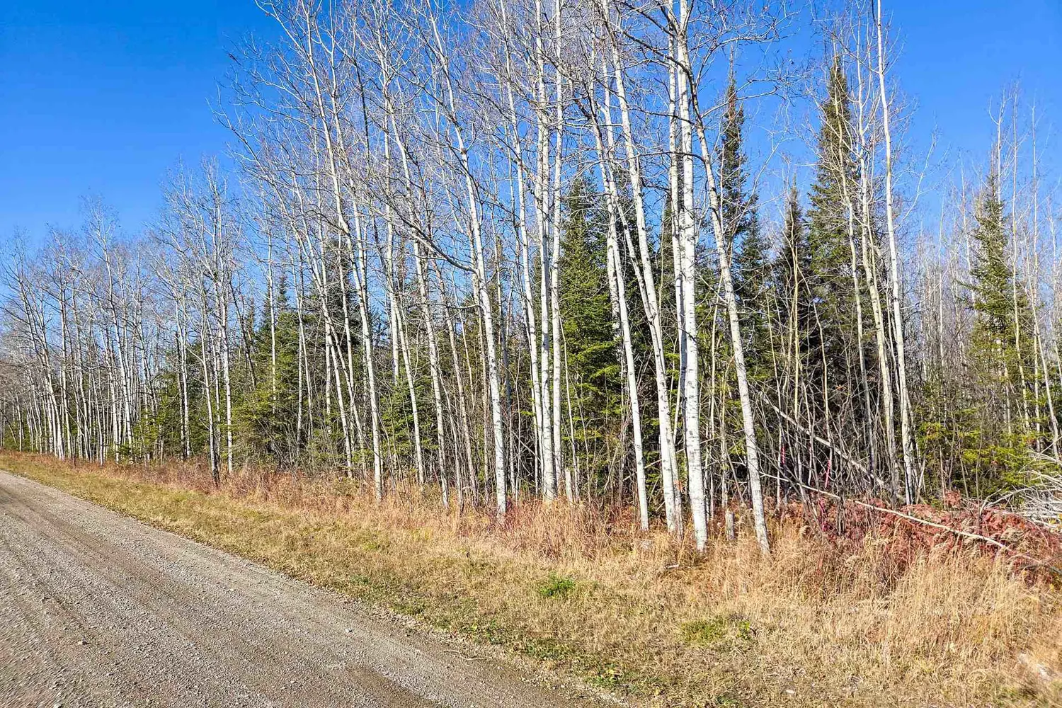 Additional image 2 of Pt 4 Cabin Road