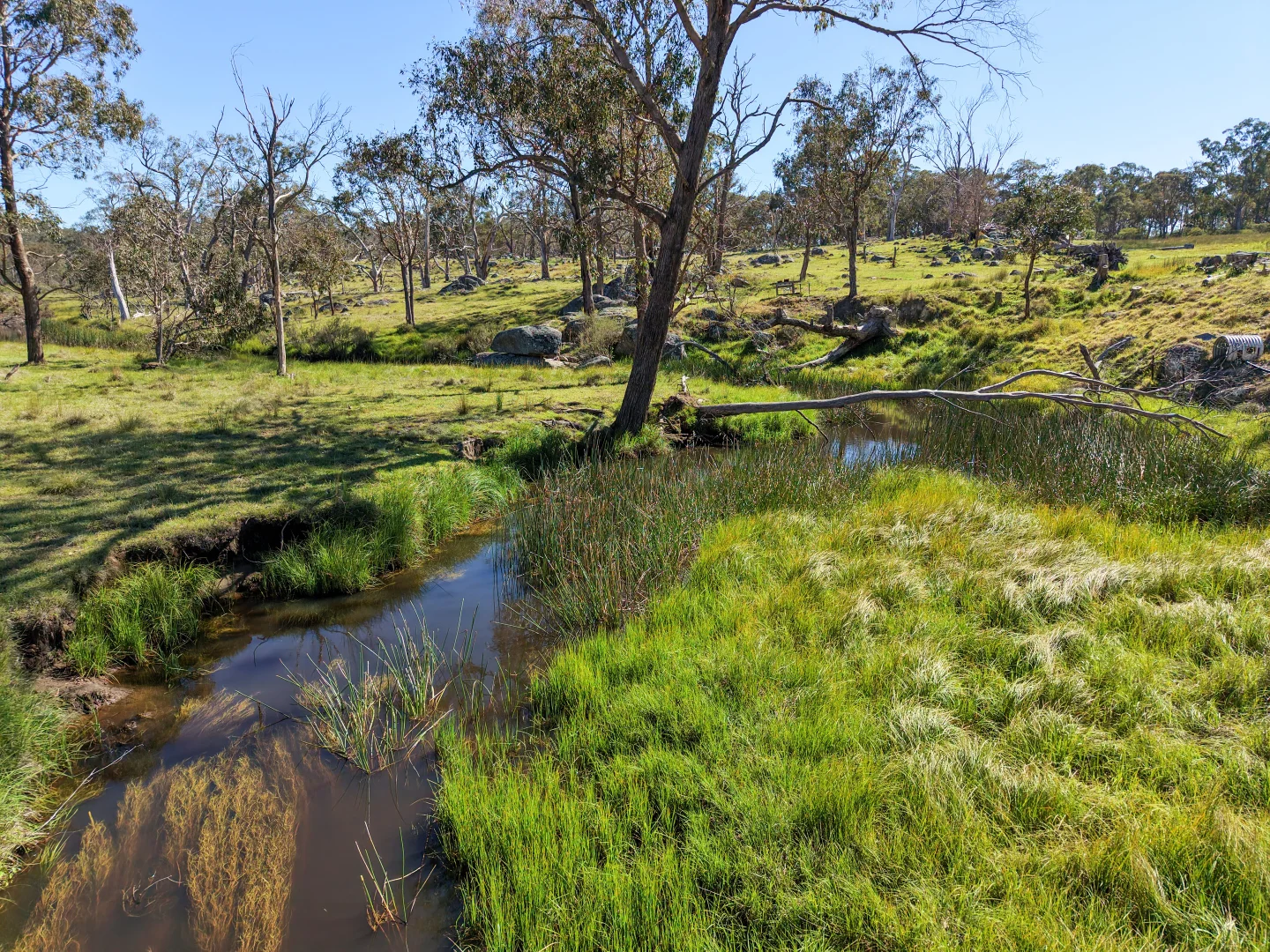 Additional image 25 of 2153 Mount Lindesay Road, Tenterfield NSW 2372