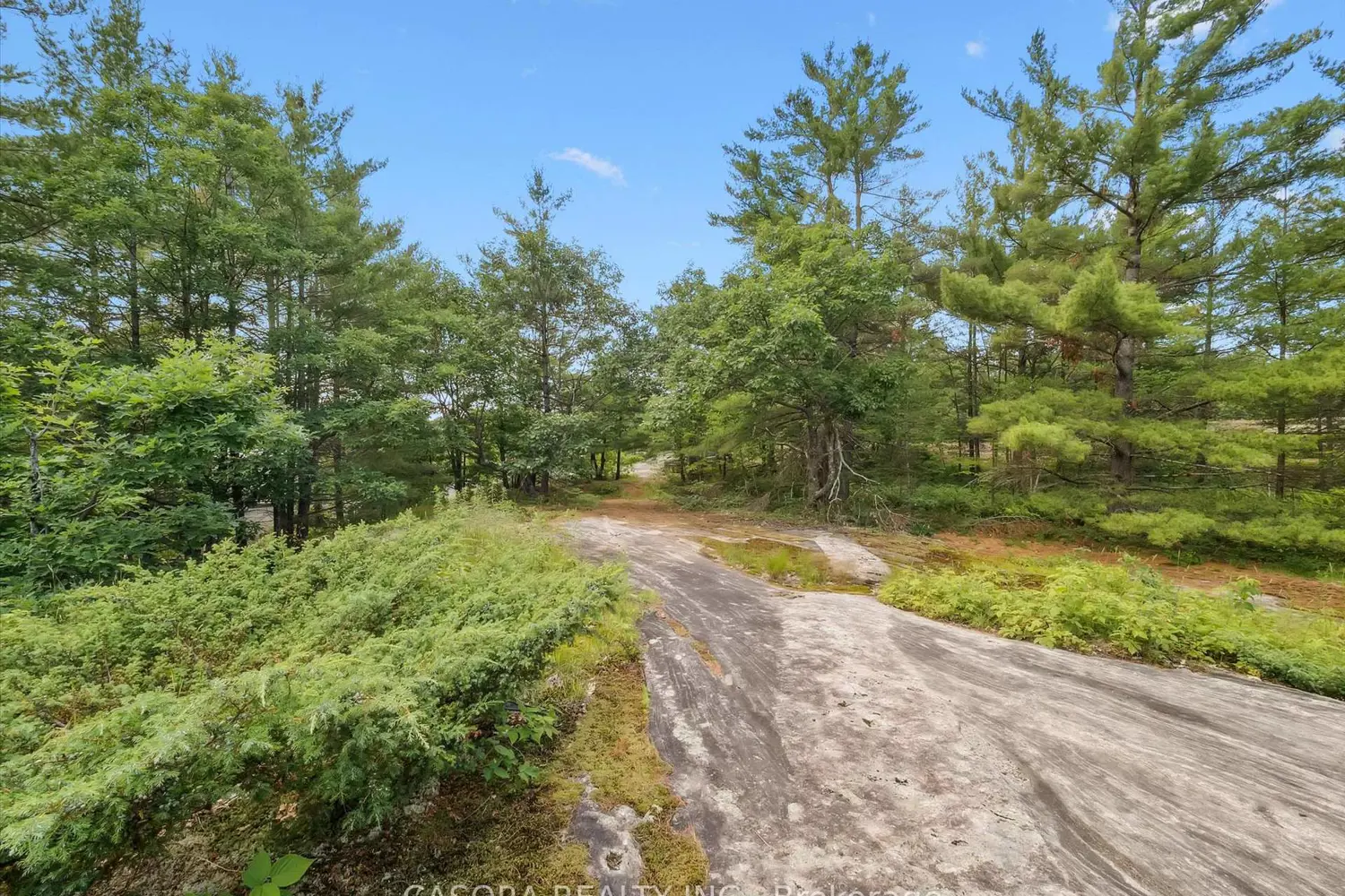 Additional image 14 of 891 Peninsula Road