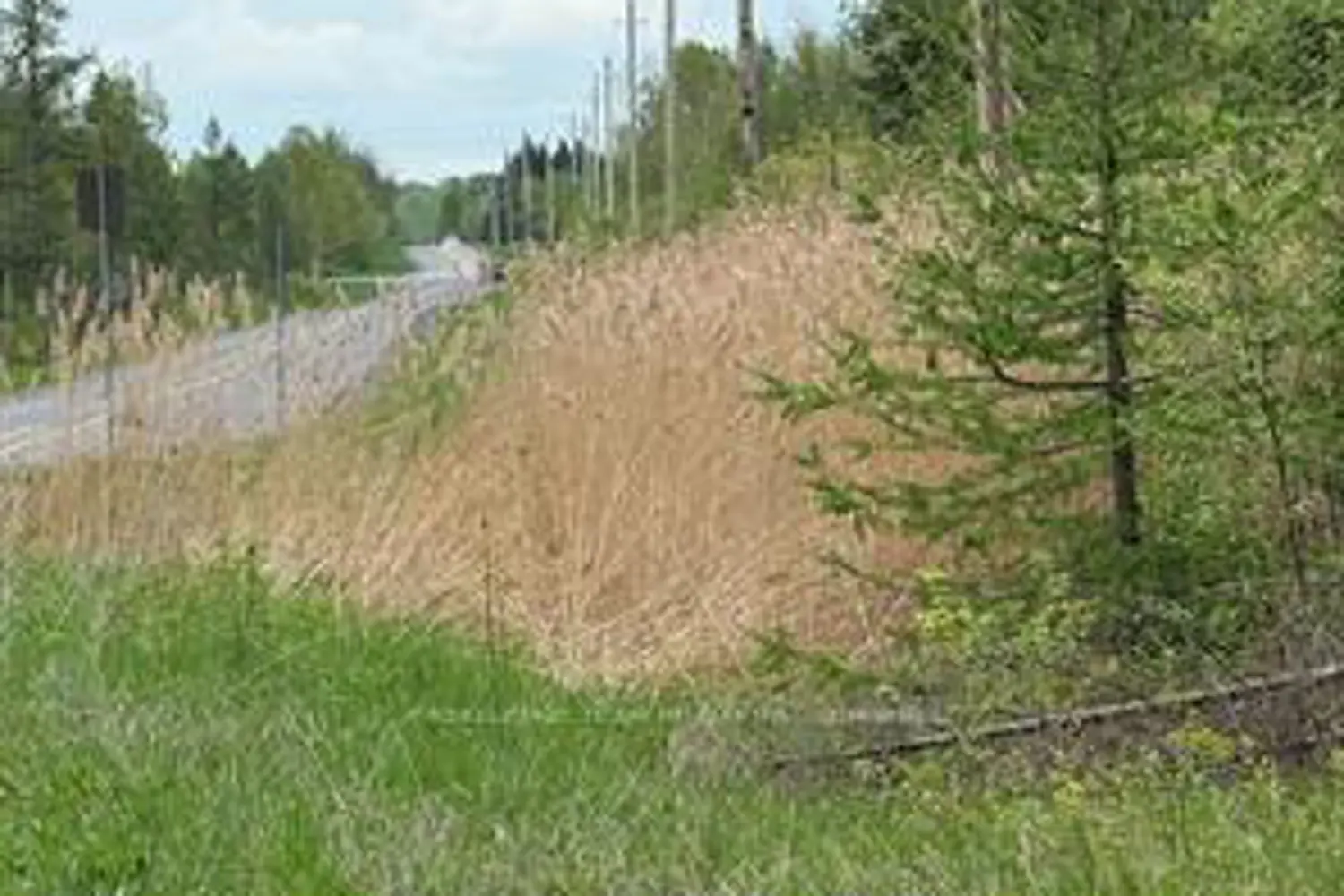 Additional image 5 of 00 Kenyon Acres