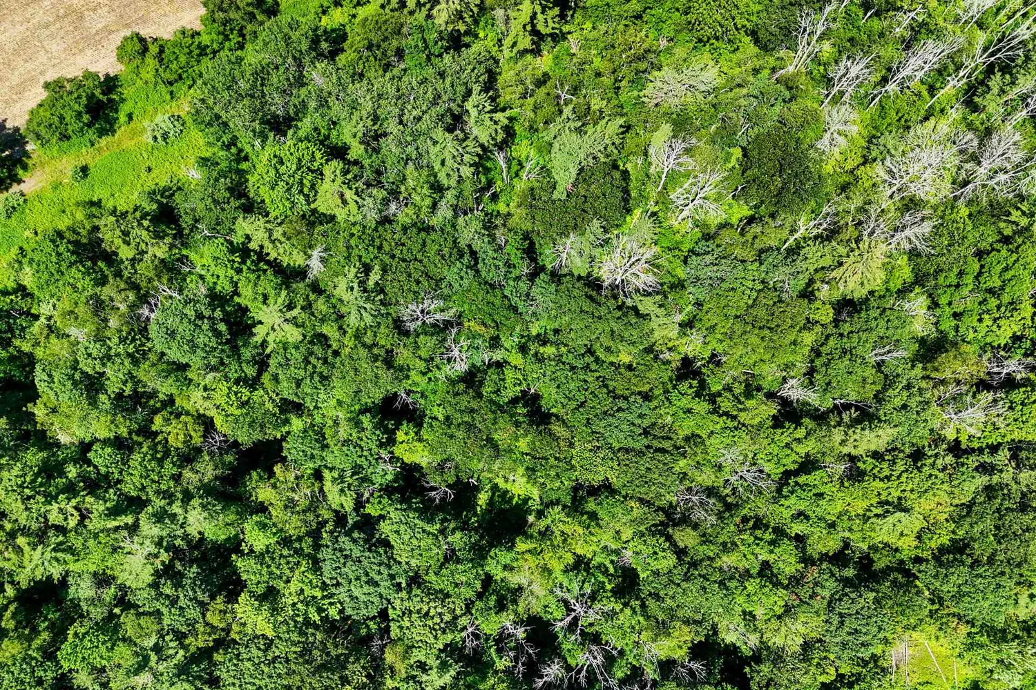 Additional image 15 of 8383 Lander Road