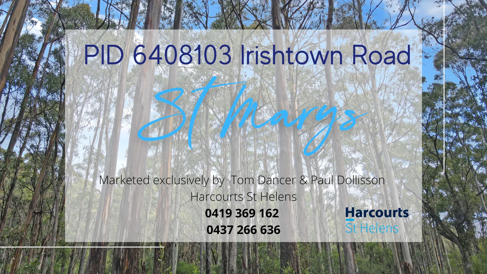 Additional image 12 of PID 6408103 Irish Town Road, St Marys TAS 7215