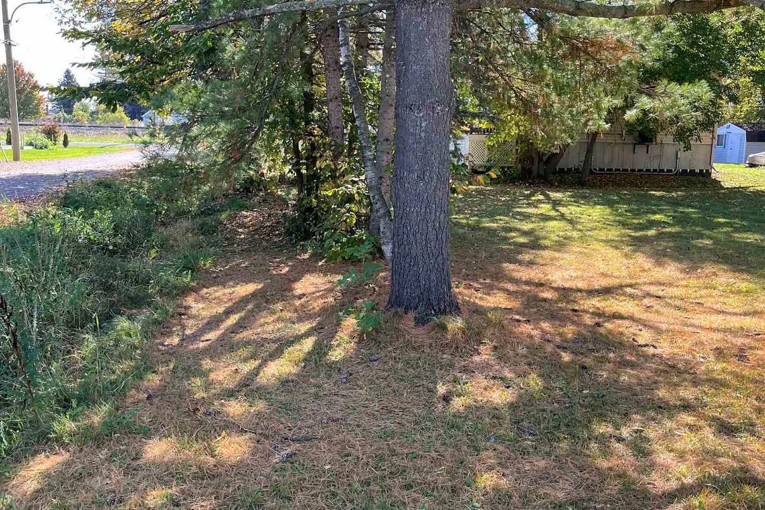 Additional image 7 of 0000 Queen Street