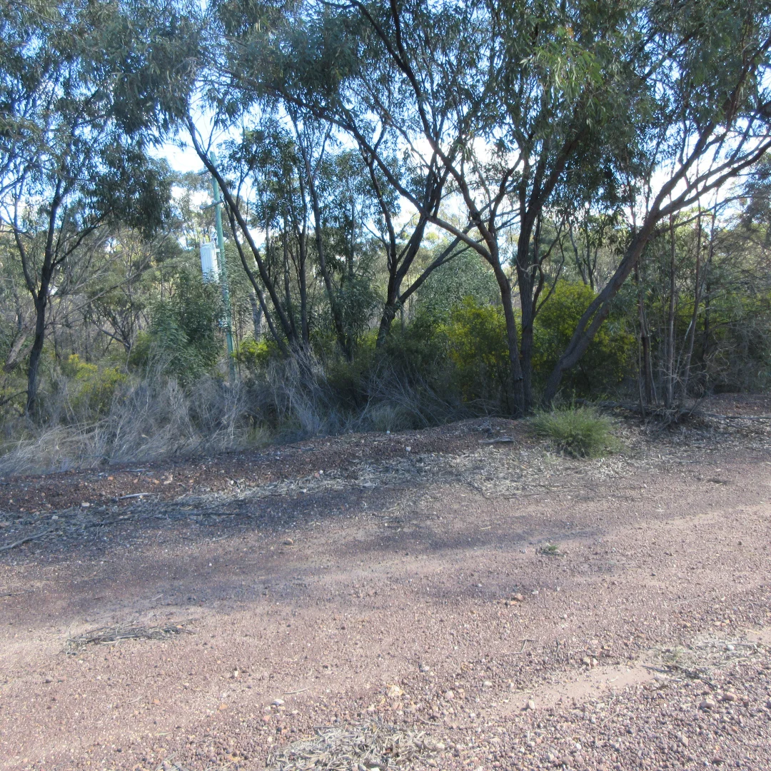 Additional image 3 of Lot/113 Lewington Road, Tara QLD 4421