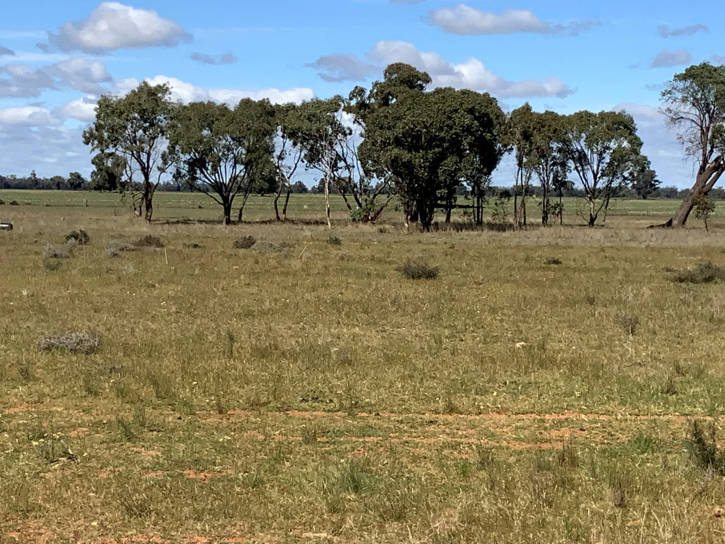 Additional image 8 of 703 Yethera Road, Tullamore NSW 2874