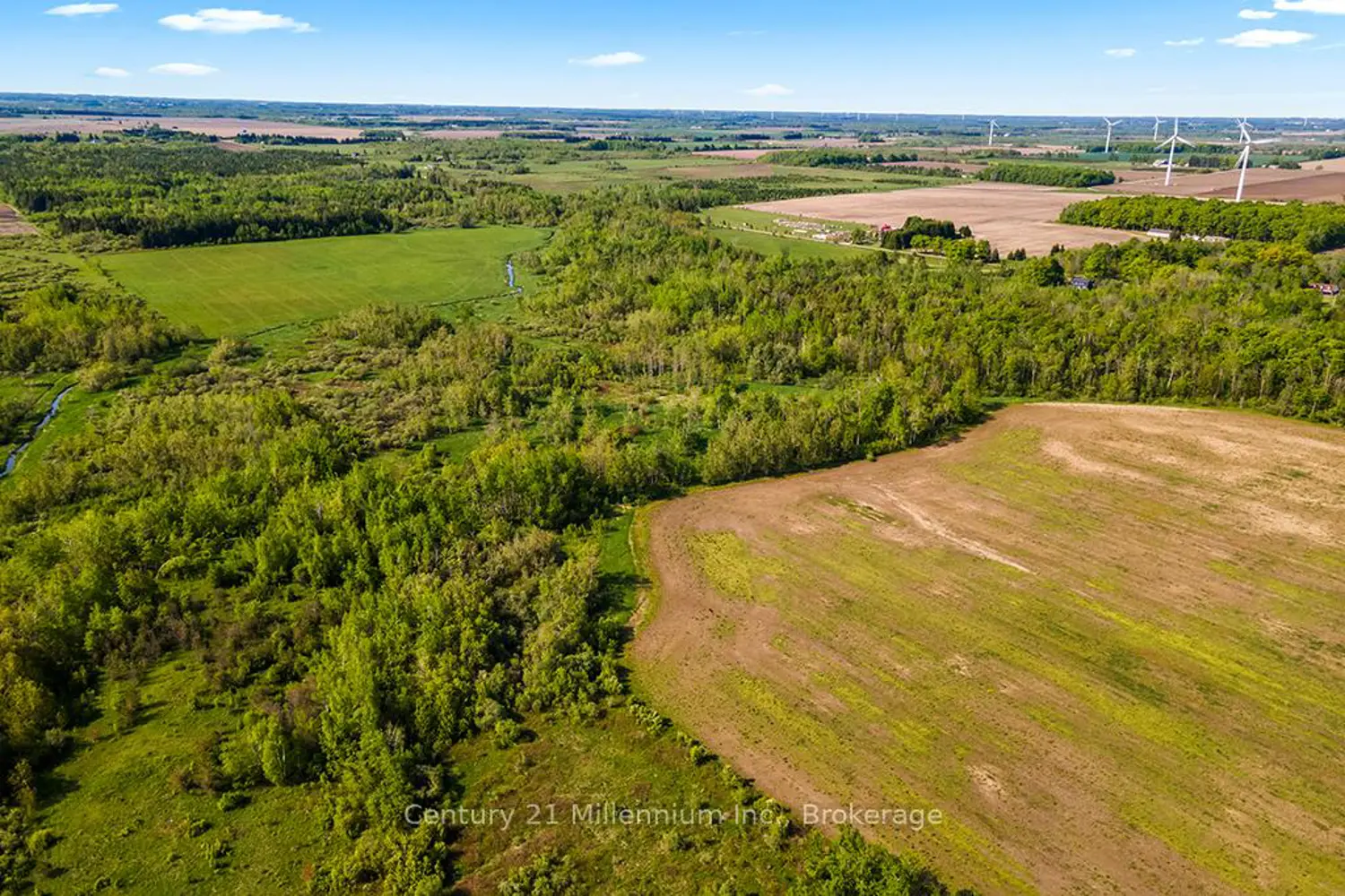 Additional image 20 of 375533 6Th Line