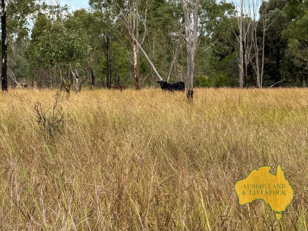 Additional image 50 of 8 SCREENING PLANT ROAD, Cynthia QLD 4627
