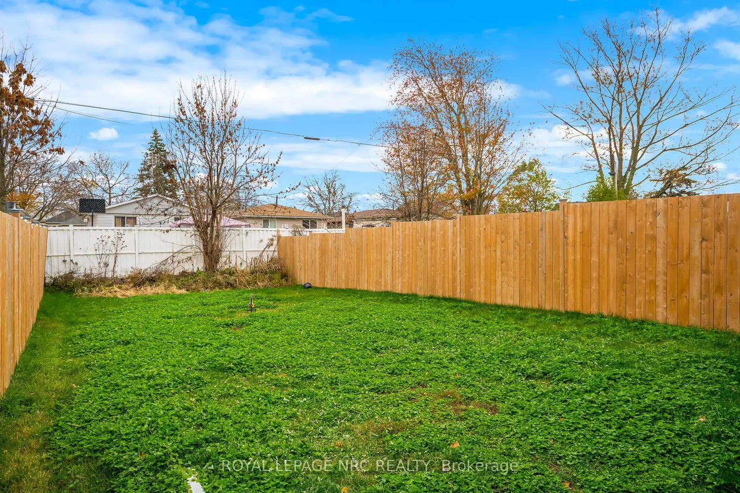 Additional image 3 of 305 Chaffey Street