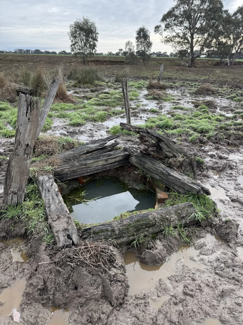 Additional image 37 of 301 Boggy Creek Road, Moyhu VIC 3732