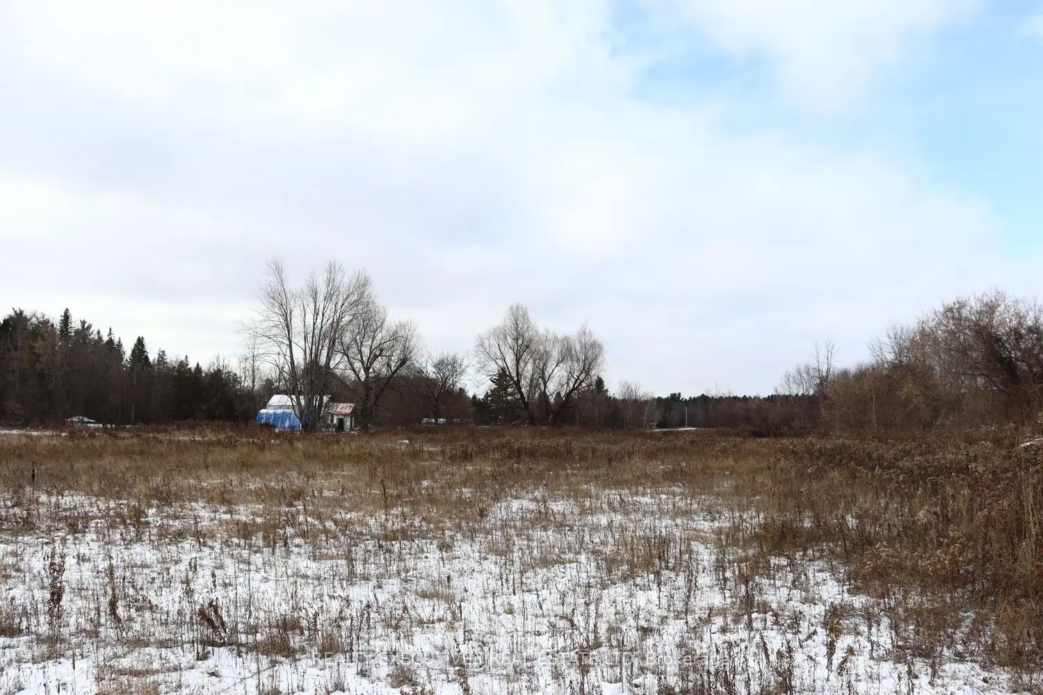 Additional image 11 of 0 Loughlin Ridge Road