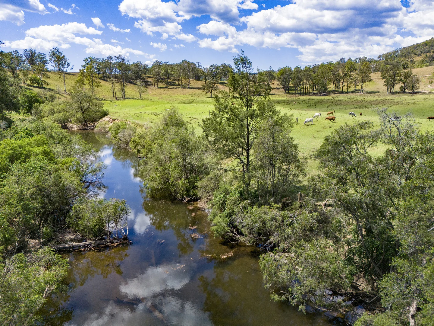 Additional image 21 of Lot 1/40 Carsons Rd, Upper Taylors Arm NSW 2447