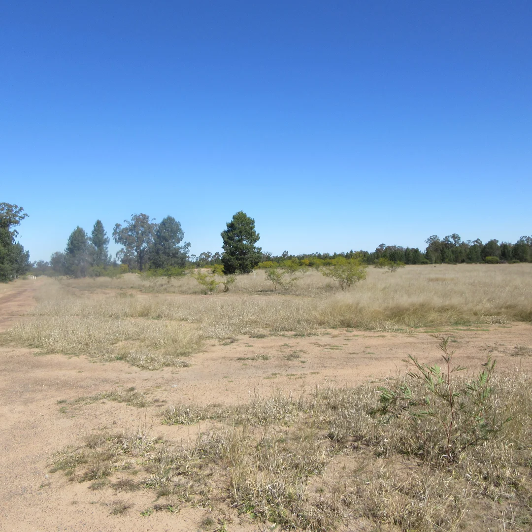 Additional image 10 of Tara QLD 4421