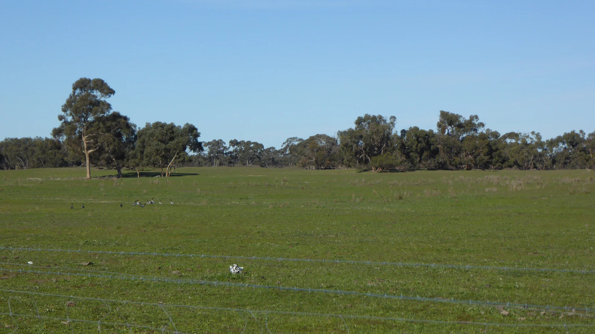 Additional image 5 of 2147 Bangham Road, Frances SA 5262