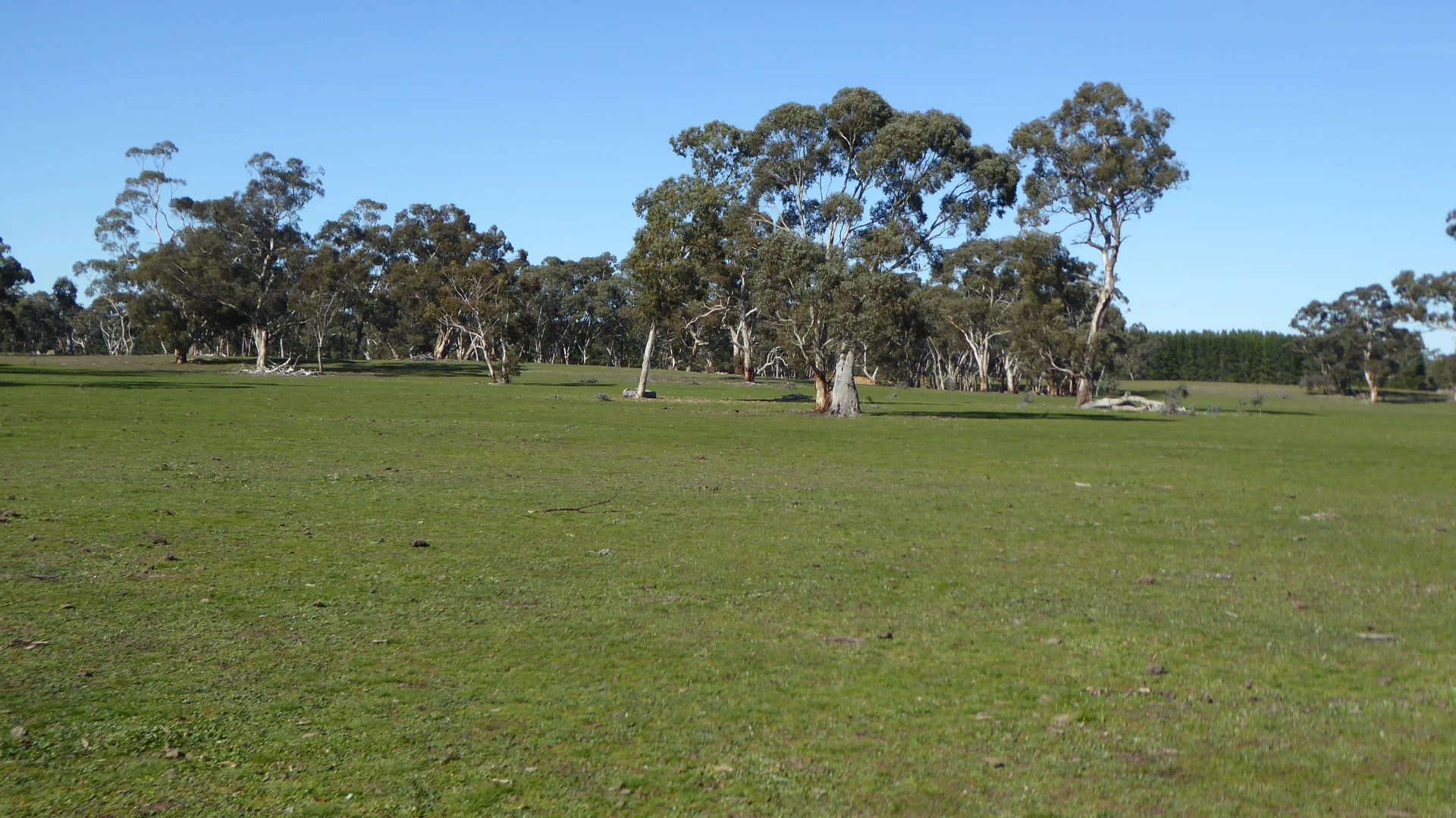 Additional image 28 of 2147 Bangham Road, Frances SA 5262