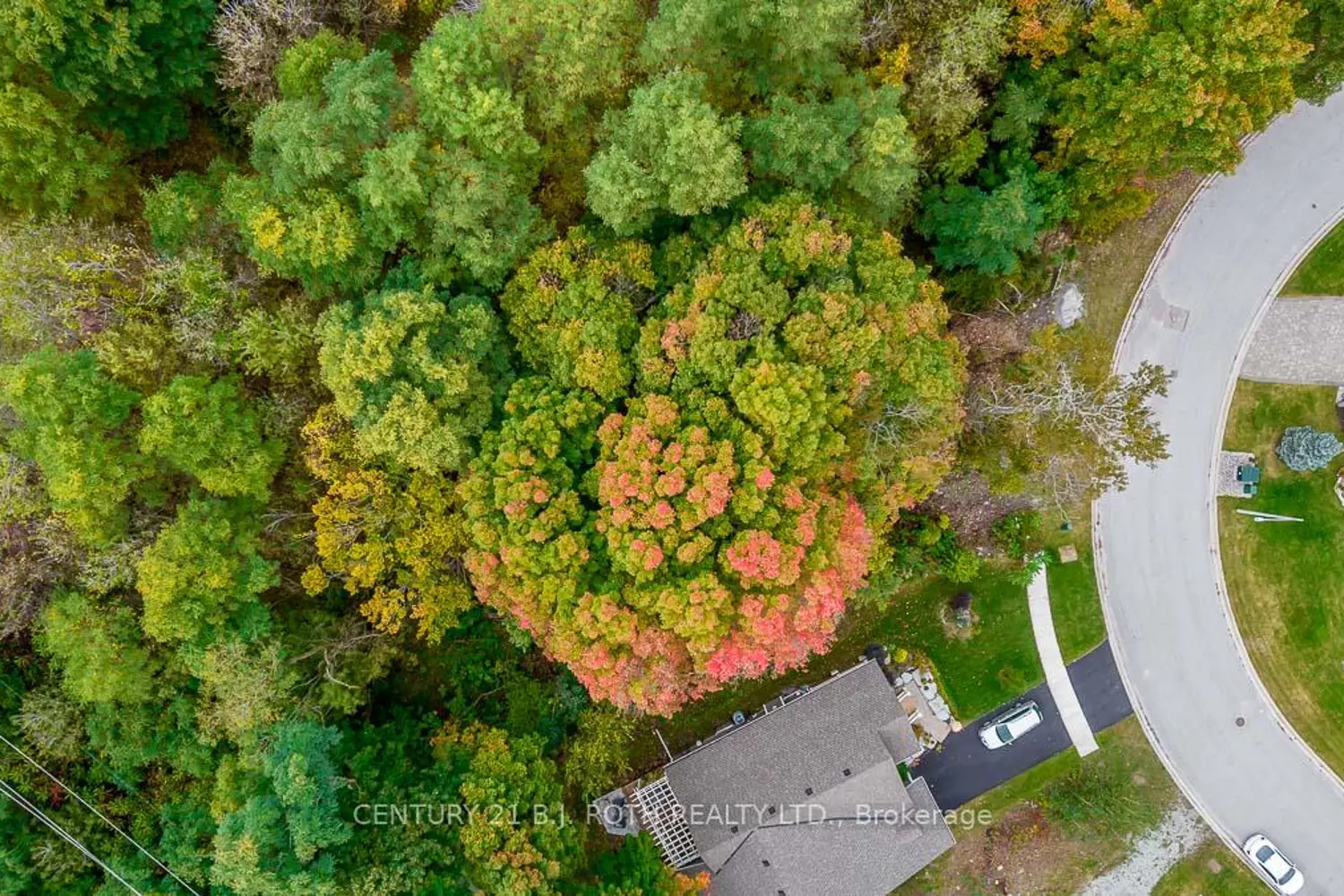 Additional image 7 of 548 Taylor Drive