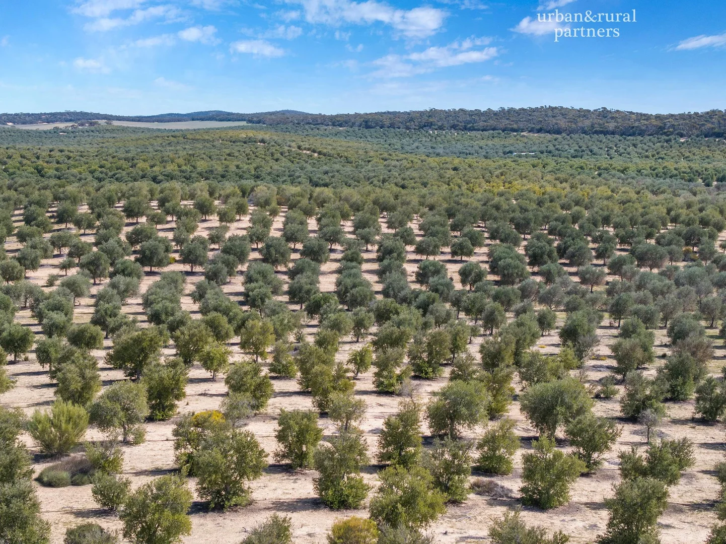 Additional image 6 of 1575 Kringin Road, Karte SA 5304