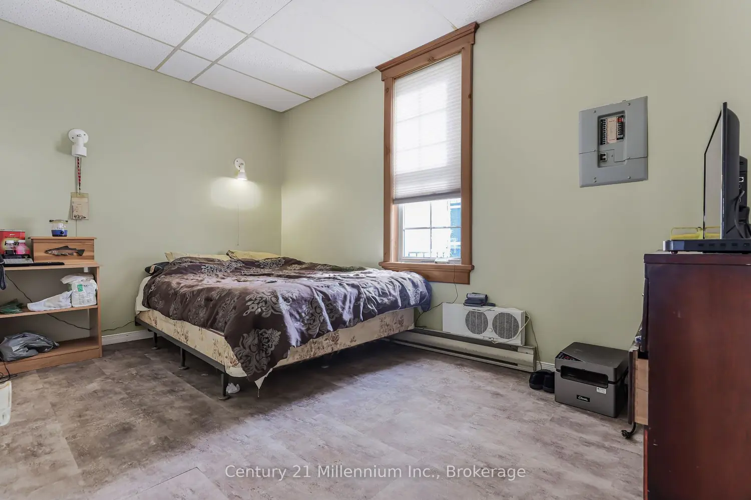 Additional image 8 of 228 Palmerston Street