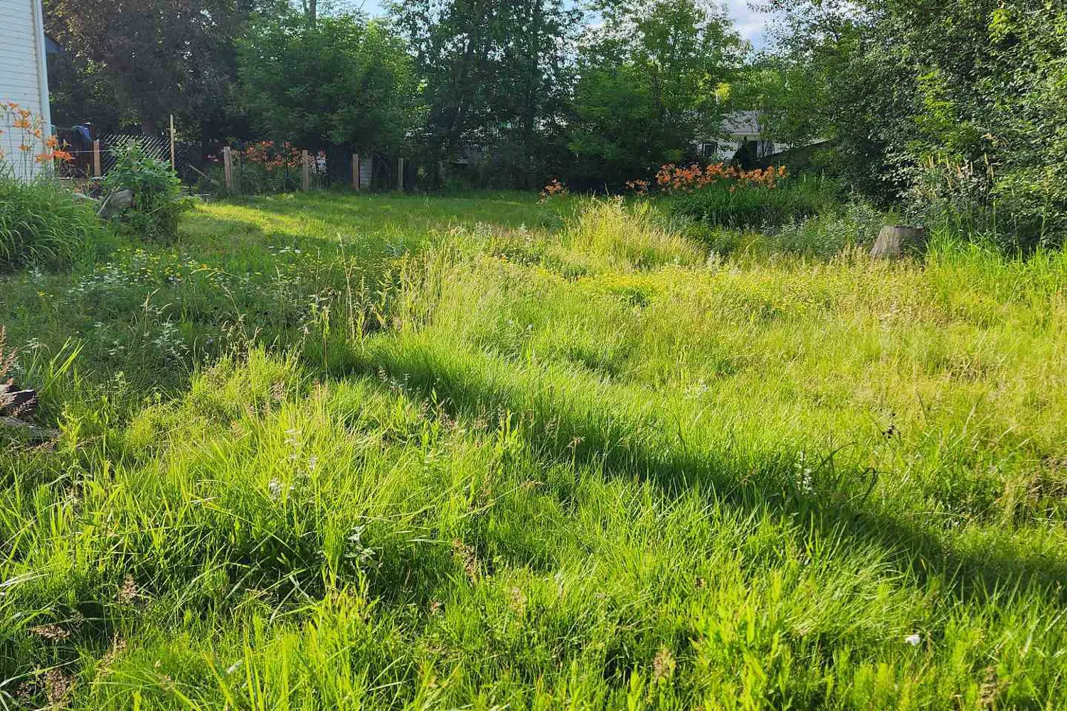 Additional image 4 of 310 Terrace Drive