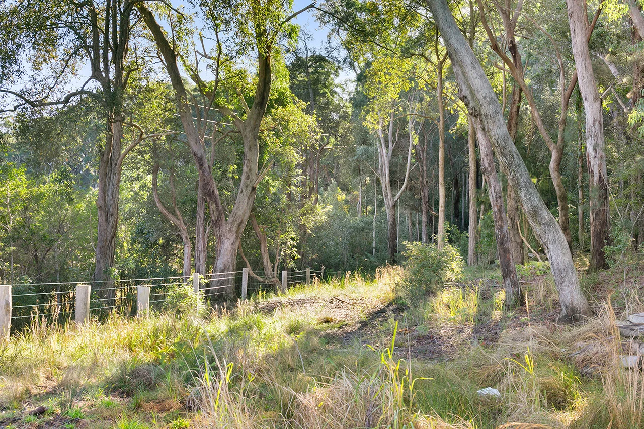 Additional image 4 of 20 James Norton Road, Bensville NSW 2251