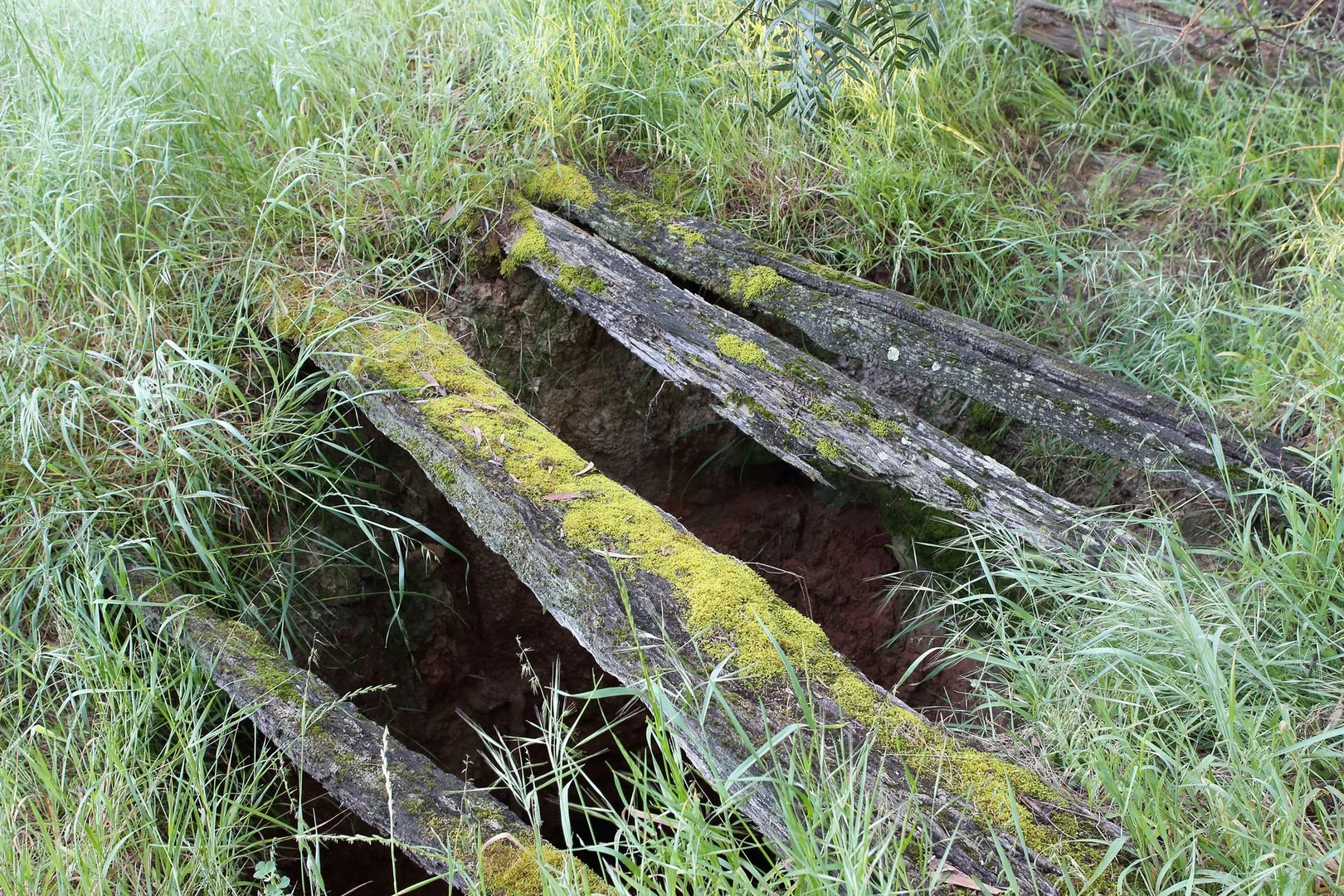 Additional image 10 of Lot/1 Corrys Mill Road, Picola West VIC 3639