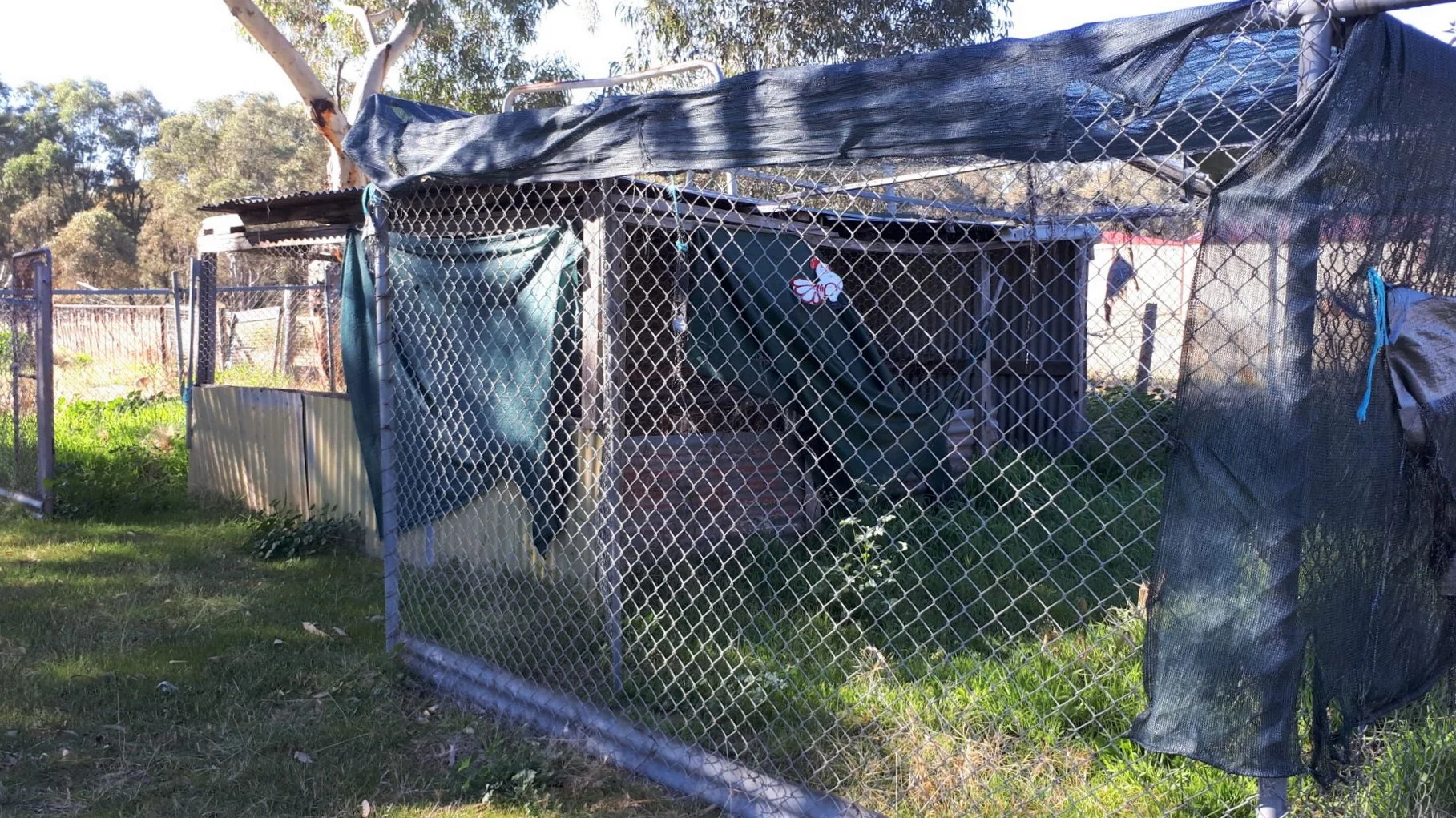 Additional image 11 of 38 SEPARATION ROAD, Dunolly VIC 3472