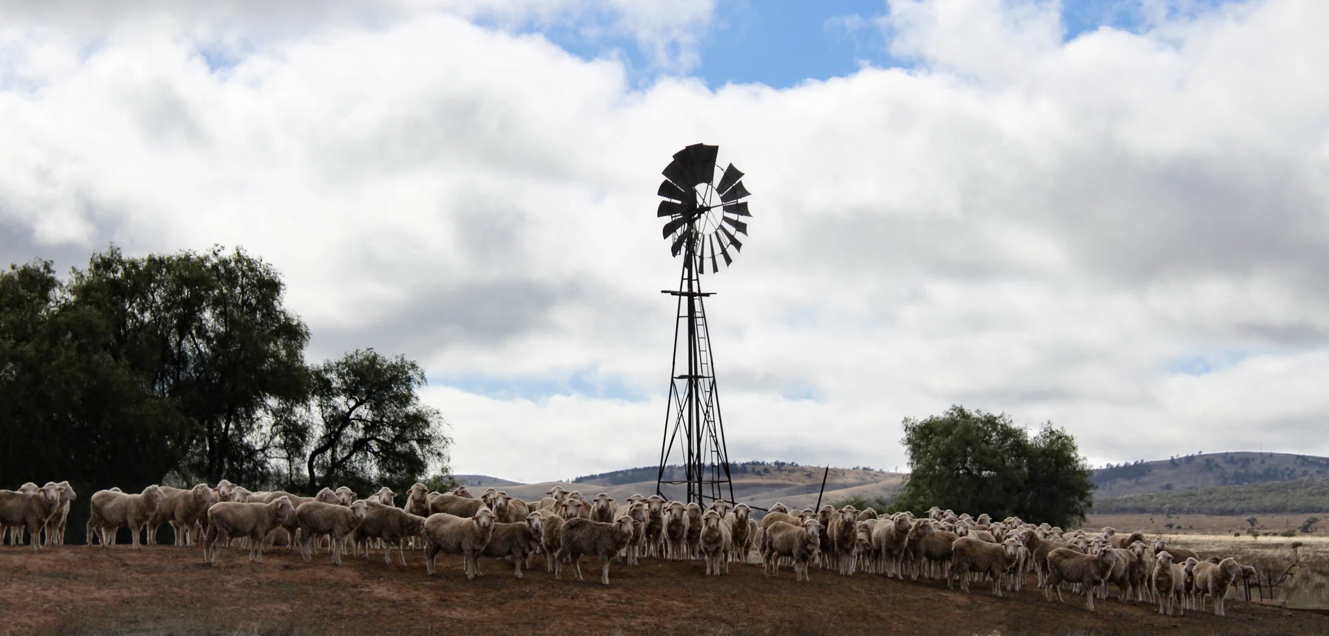 Additional image 3 of "Woodlands" Black Rock Road, Minvalara SA 5422