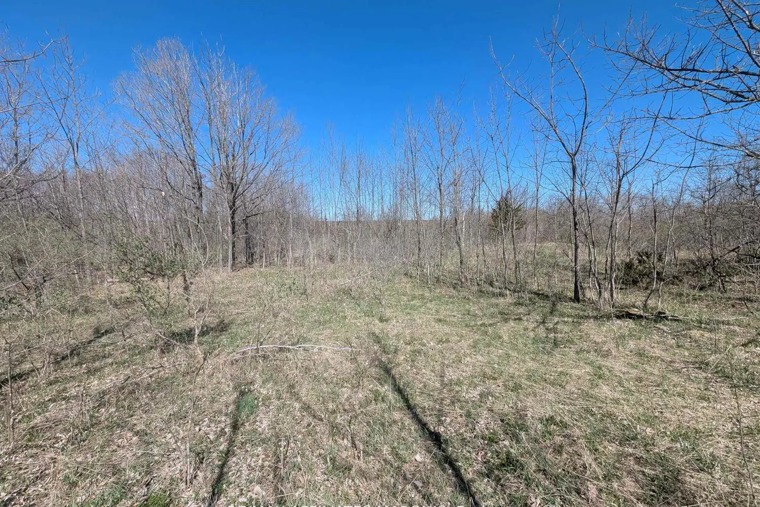 Additional image 8 of 0 Little Crosby Lake Road