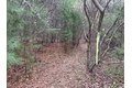 Additional image 40 of 50 Cross St, Lakeville, MA, 02347