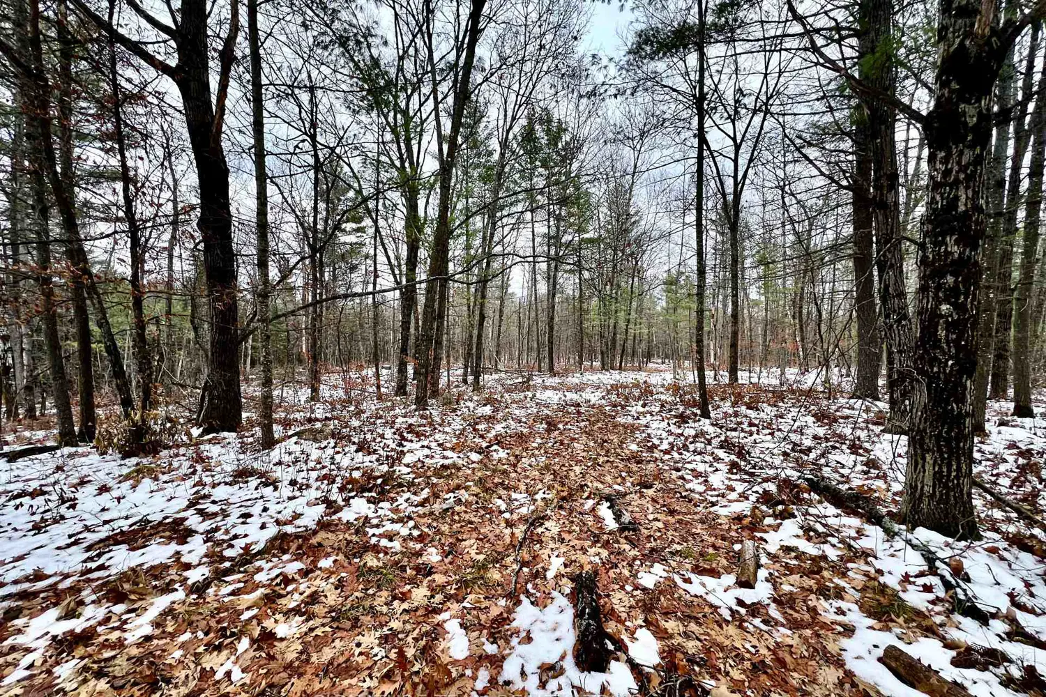 Additional image 17 of 744 Black Creek Road