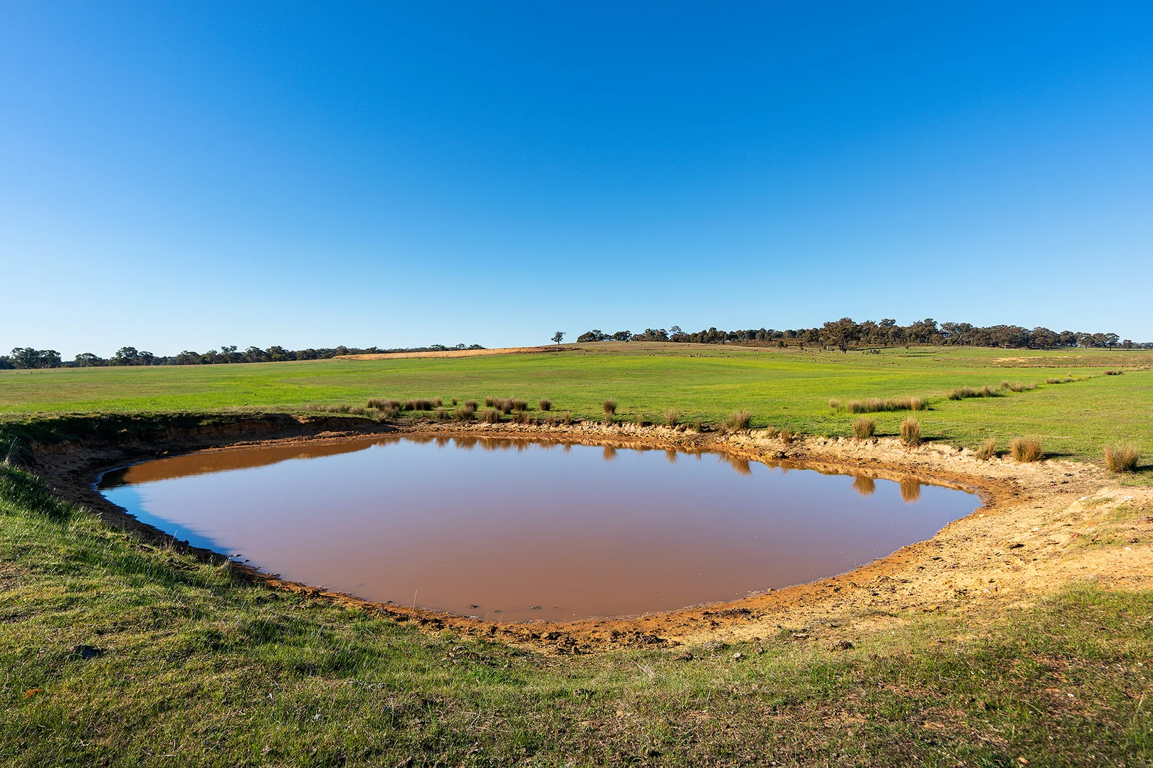 Additional image 12 of 275 Castlemaine-Maldon Road, Muckleford VIC 3451