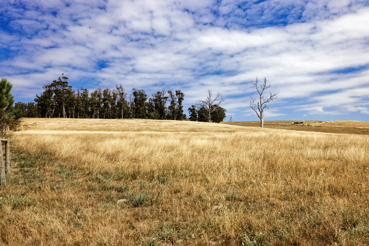 Additional image 10 of 110a Paling Track, Bangor TAS 7267