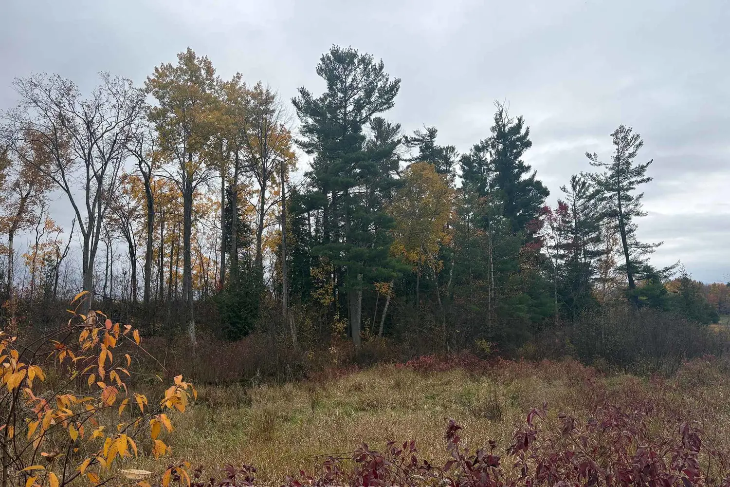 Additional image 5 of 0 Godolphin Road