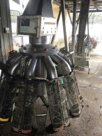 Additional image 8 of Tongue Road, Hastings TAS 7109