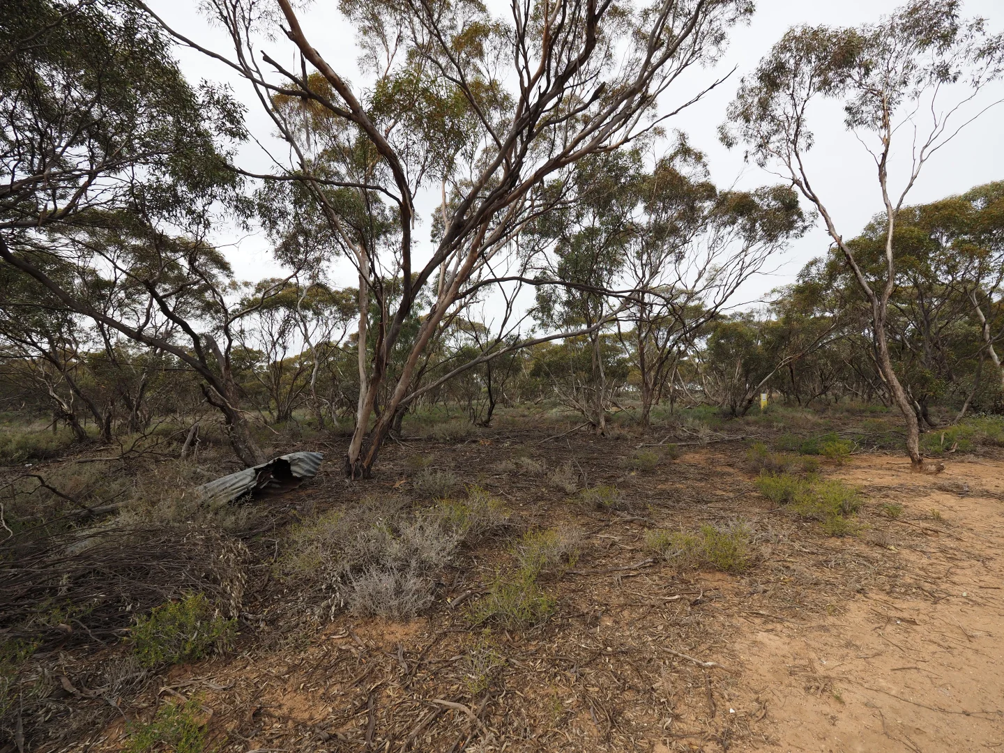 Additional image 14 of Lots 1-6, Towns Street, Chillingollah VIC 3585