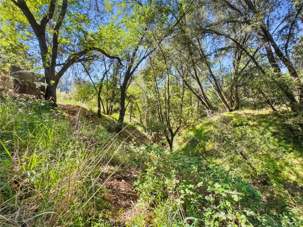 Additional image 61 of 22666 Lower Quail Mine Road, Sonora, CA 95370