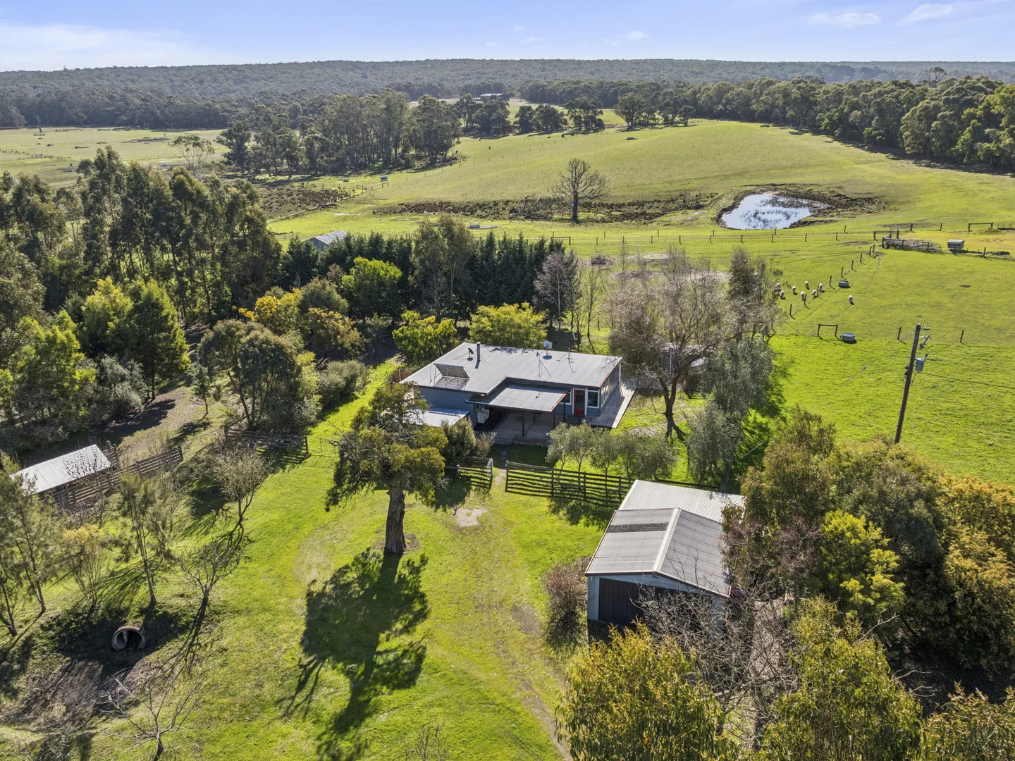 Additional image 13 of 240 Pipeline Road, Forrest VIC 3236