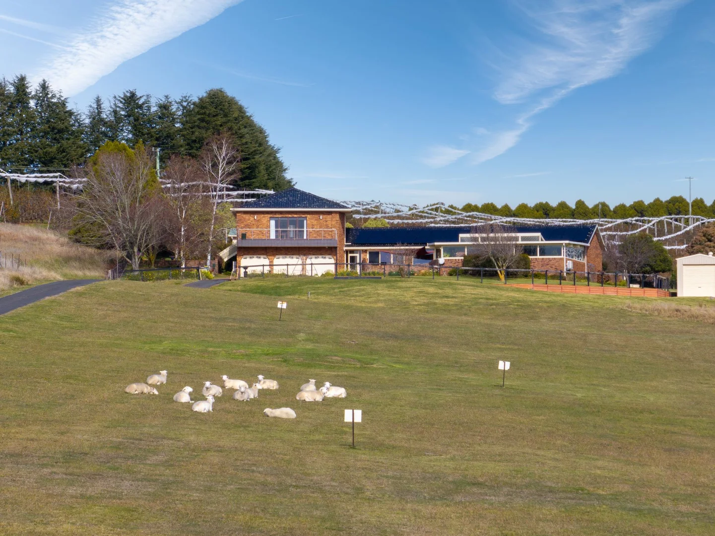 Additional image 26 of 19 Wallace Lane, Orange NSW 2800