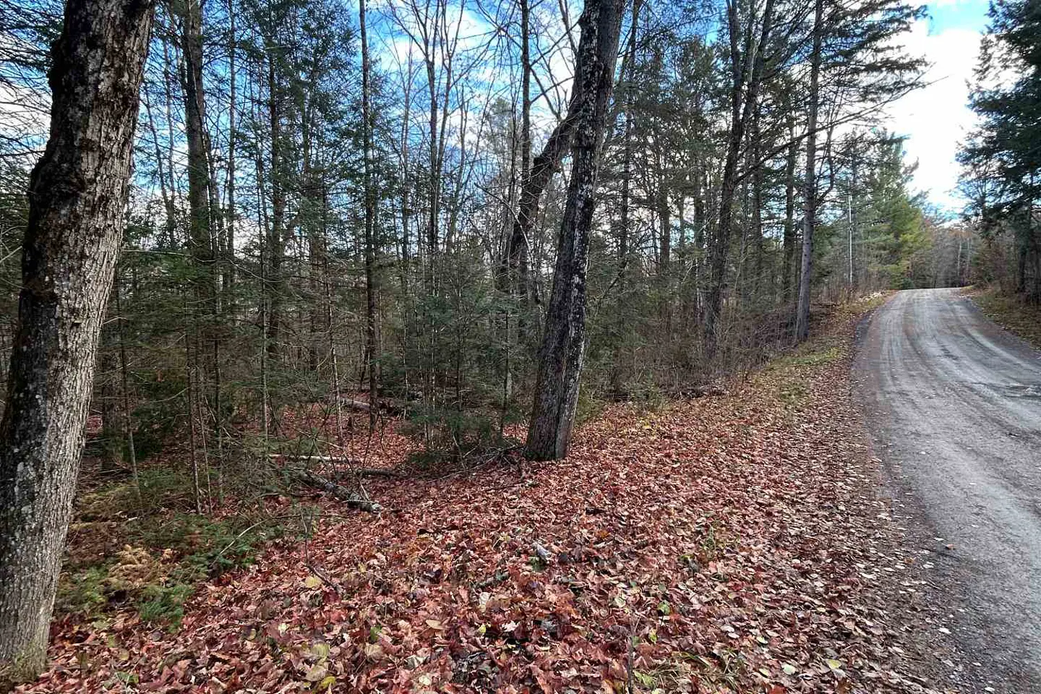 Additional image 11 of 0 Mill Lake Road