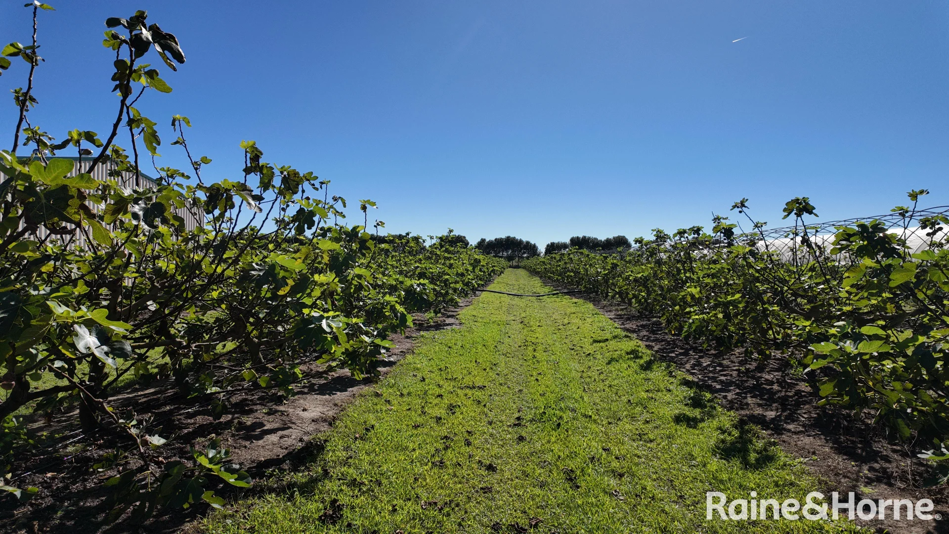 Additional image 20 of 135 Newlands Road, North Gregory QLD 4660