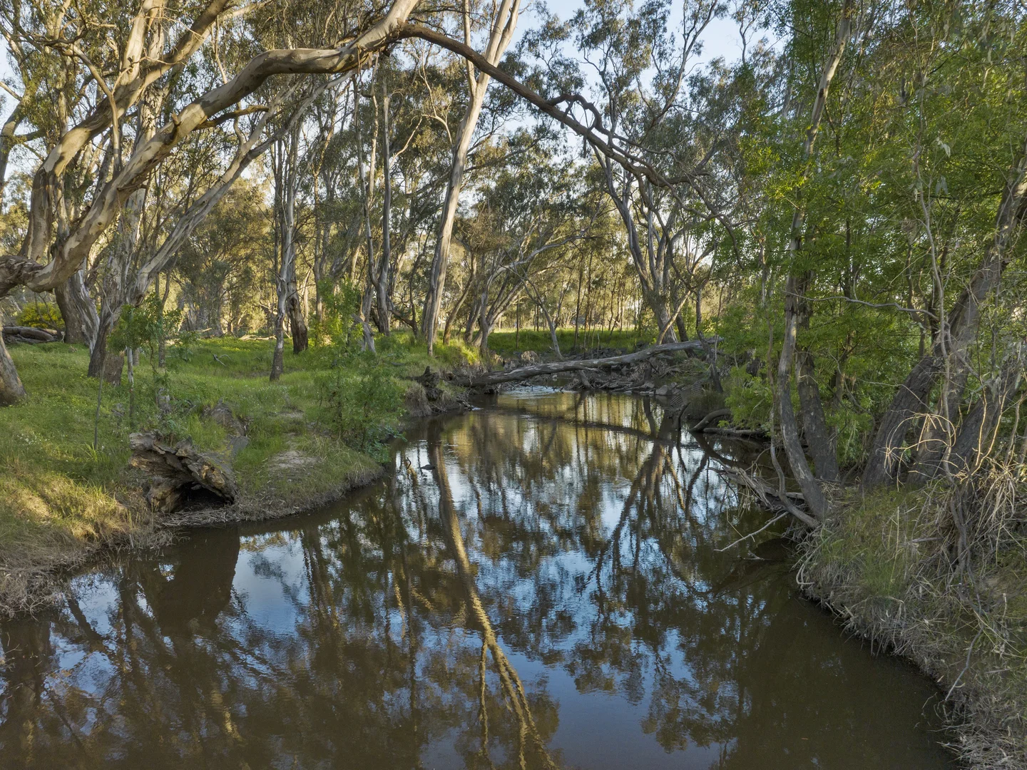 Additional image 14 of 111 Moglonemby Road, Euroa VIC 3666