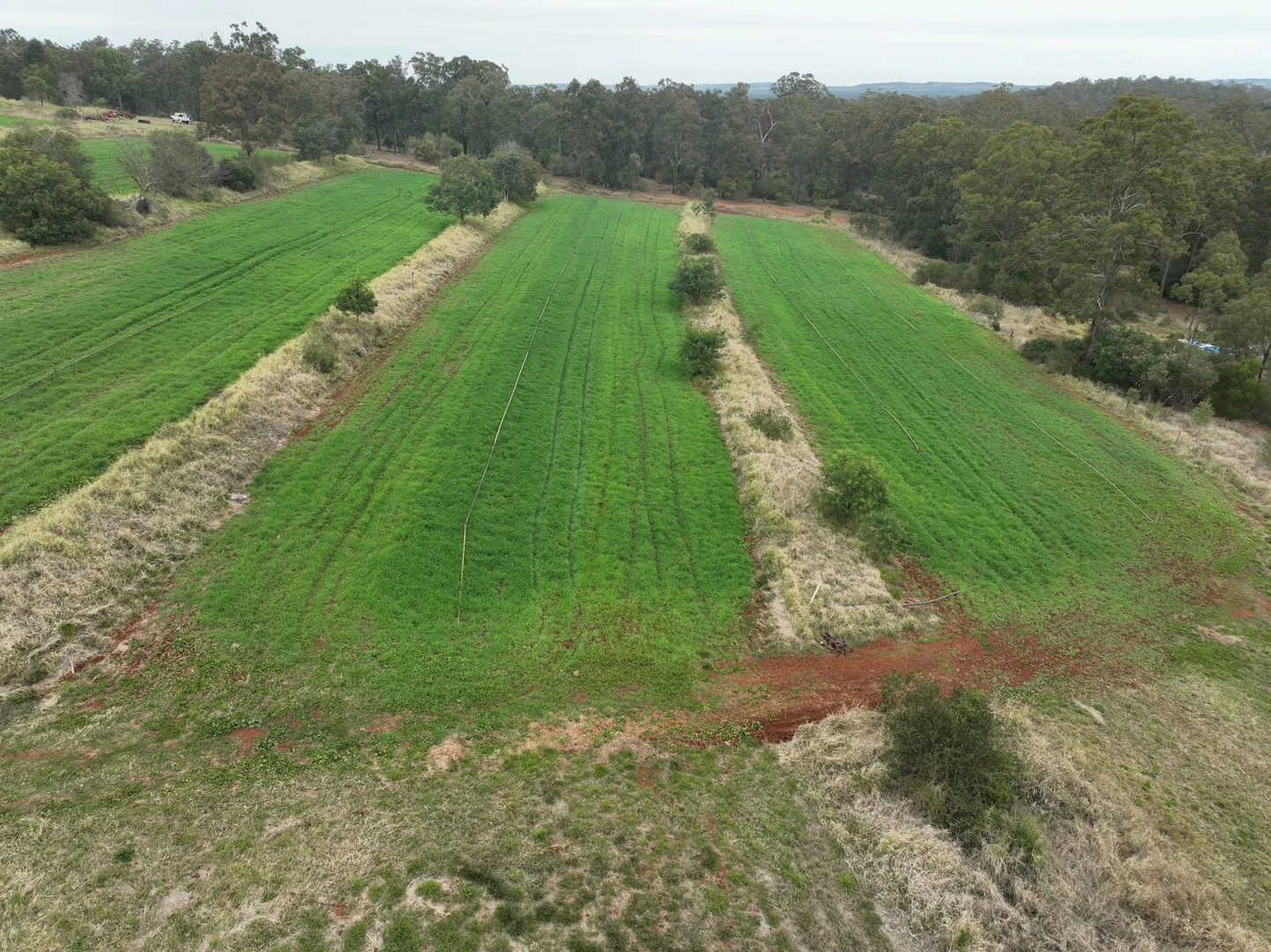 Additional image 7 of 34 Bellottis Road, Oakdale QLD 4605