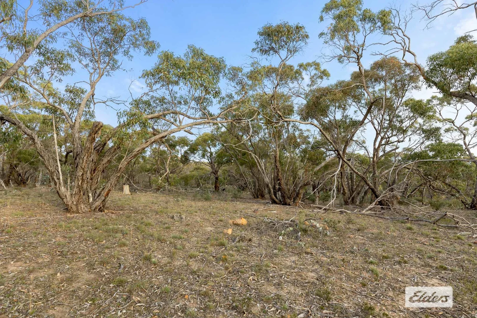Additional image 12 of Morrl Morrl Forest Road, Wallaloo East VIC 3387