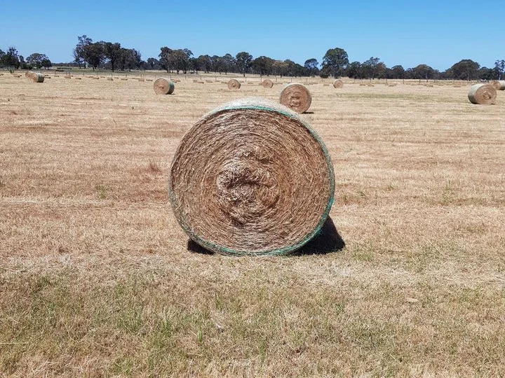 Additional image 19 of 31 Woodcote Ln, Munro VIC 3862