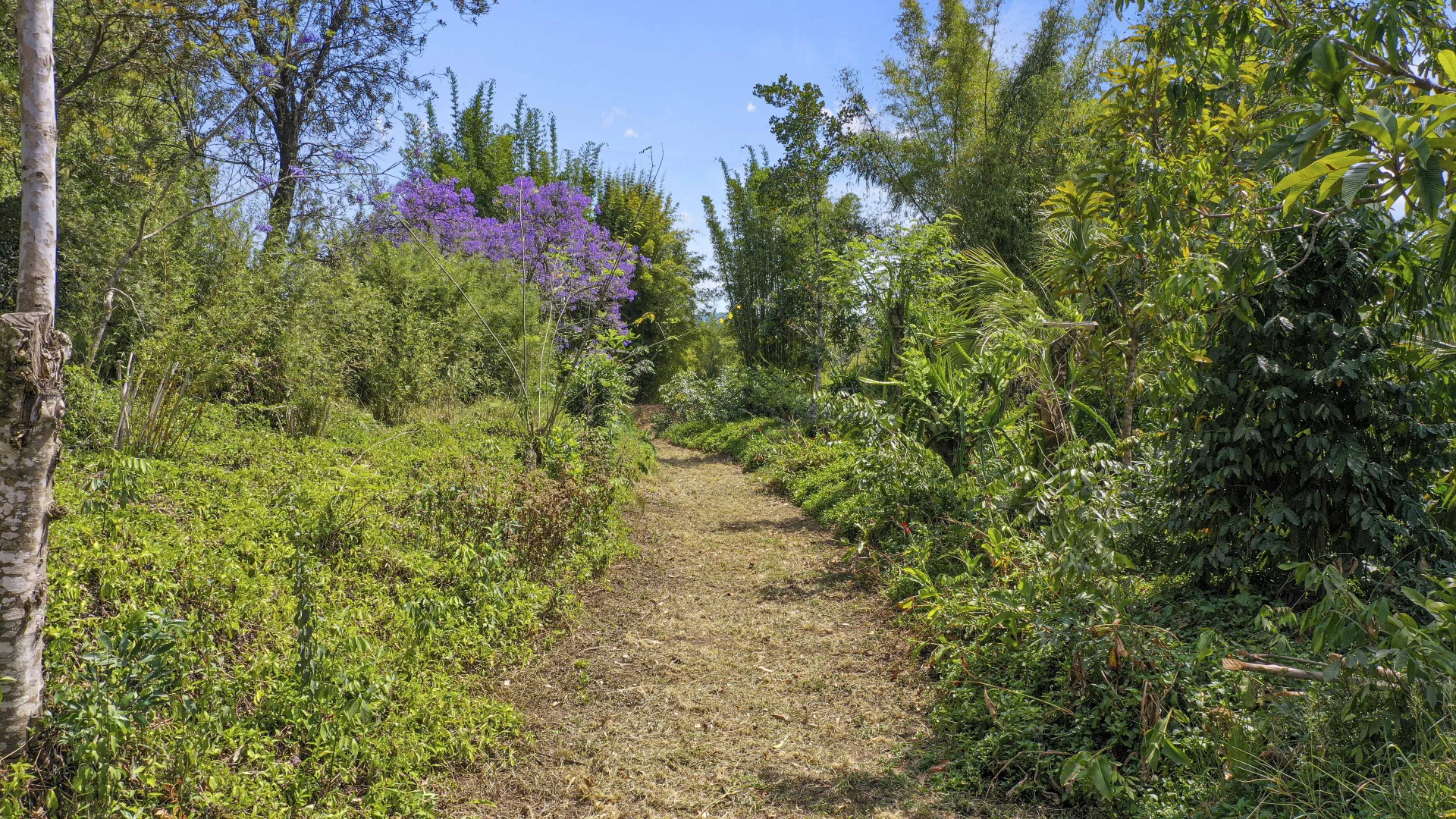 Additional image 12 of Share D5/1158 Pinchin Road, The Channon NSW 2480