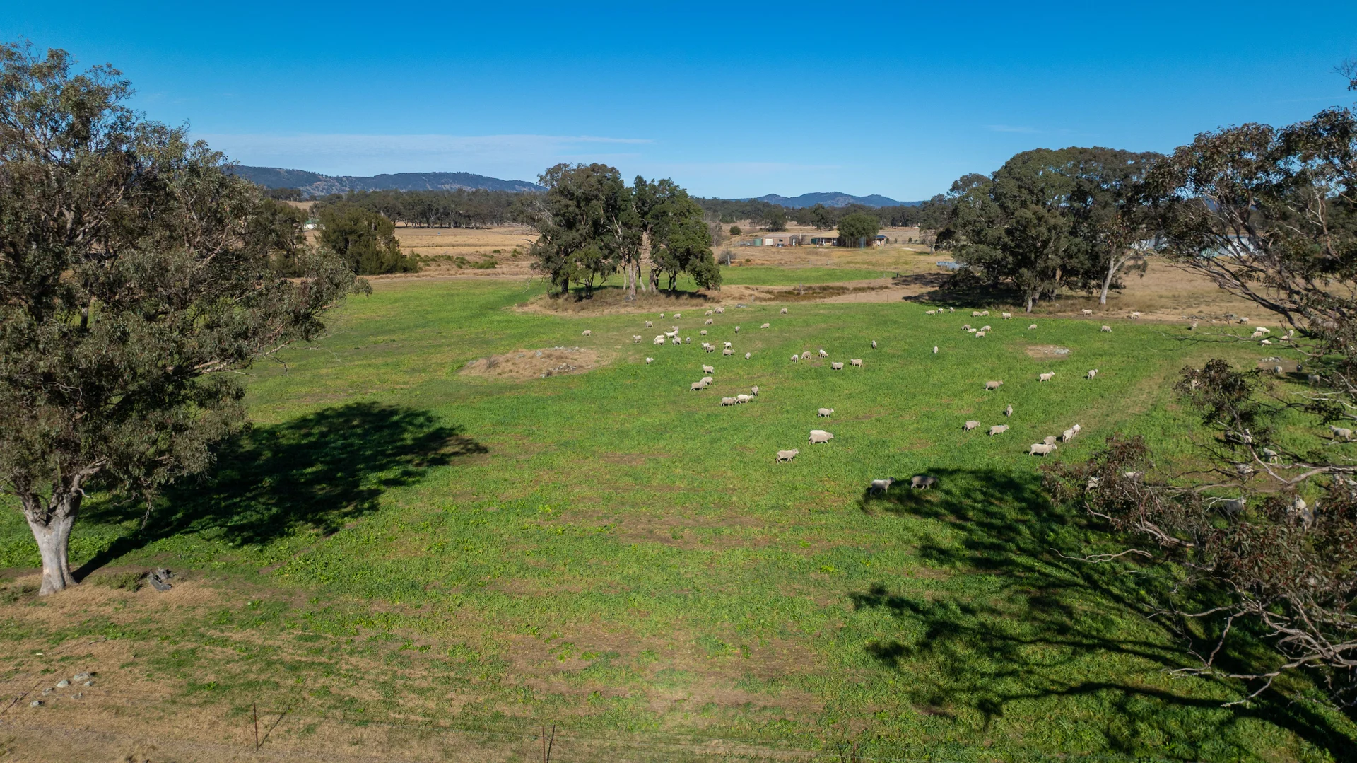 Additional image 19 of 214 Tarban Loop Road, Tenterfield NSW 2372