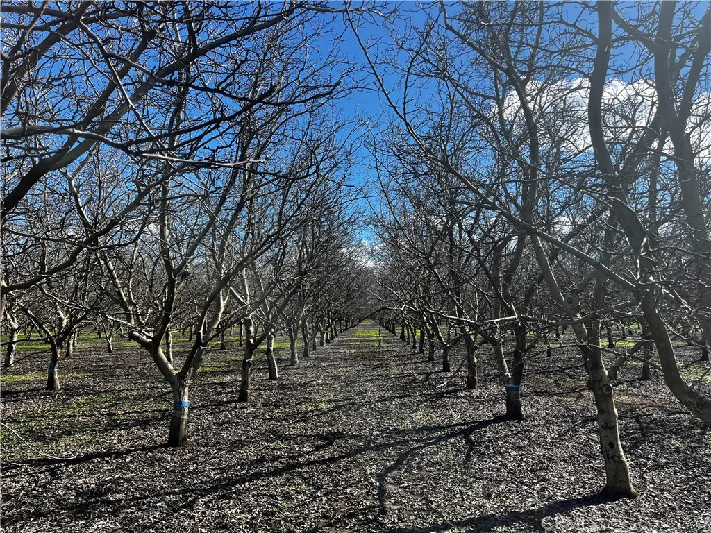 Additional image 28 of 3900 Stephens Road, Corning, CA 96021