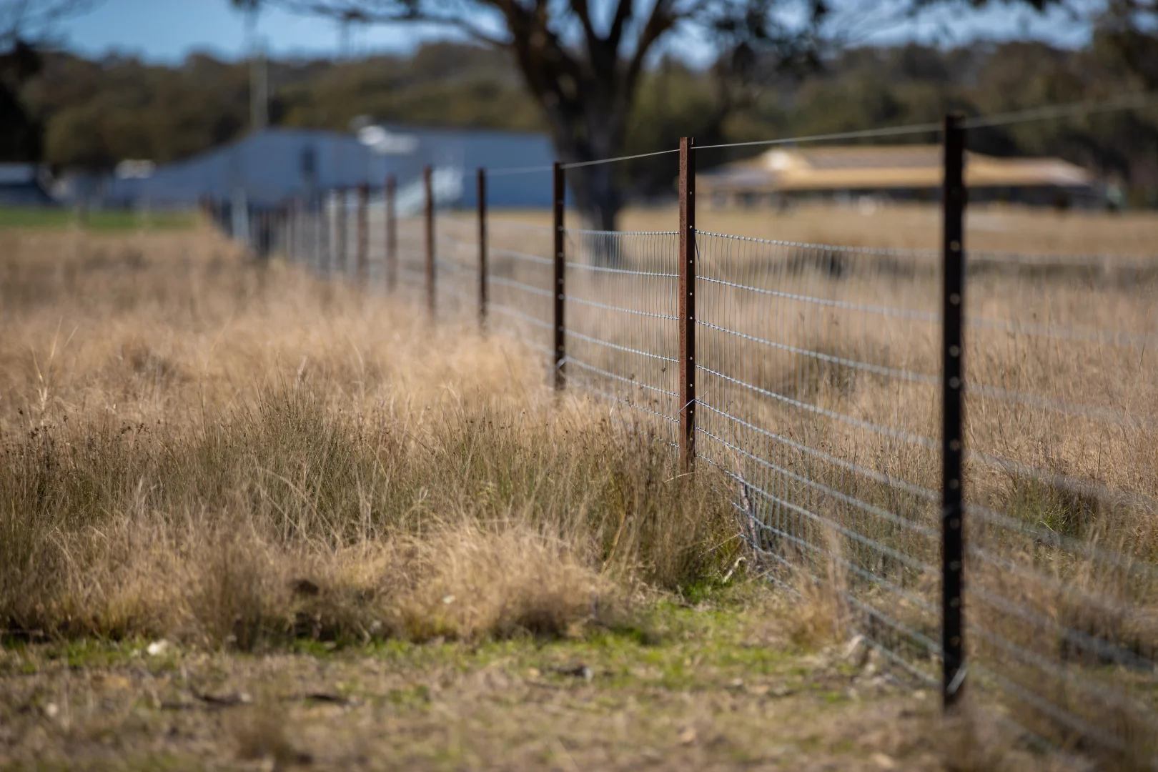 Additional image 16 of 214 Tarban Loop Road, Tenterfield NSW 2372