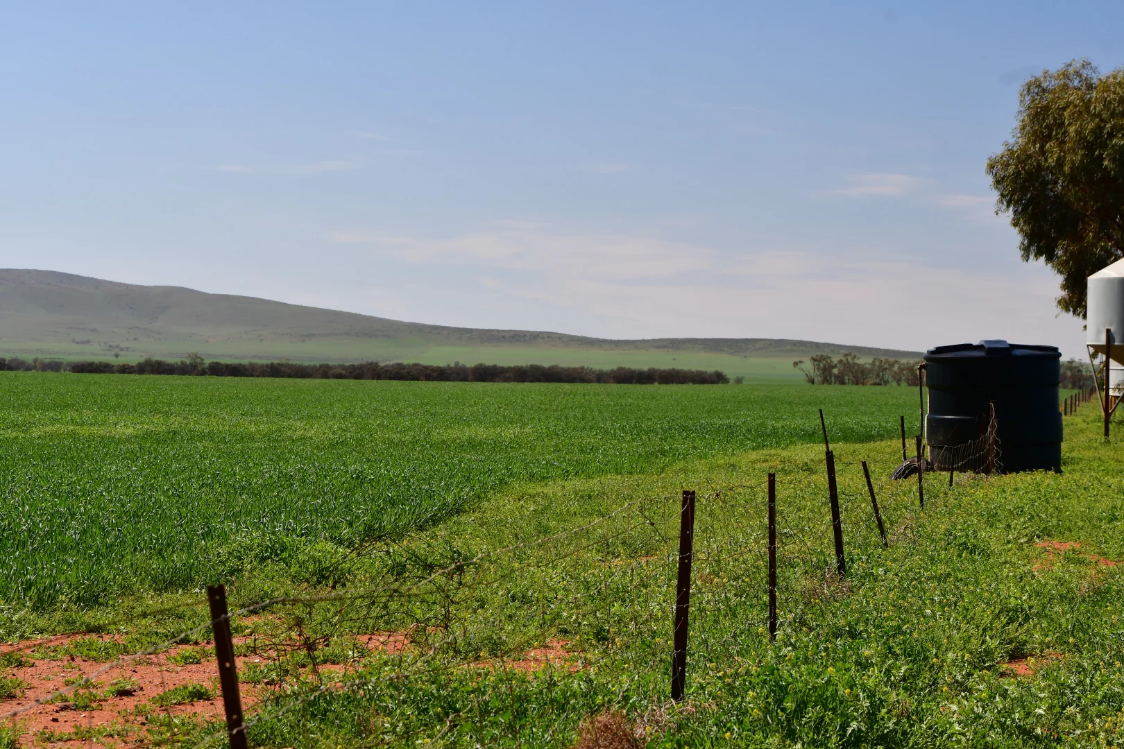 Additional image 6 of SECTION 121 Orroroo Road, Willowie SA 5431