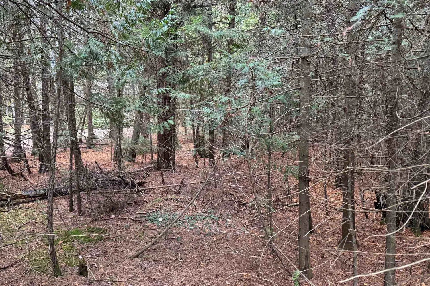 Additional image 5 of 915 Third Avenue